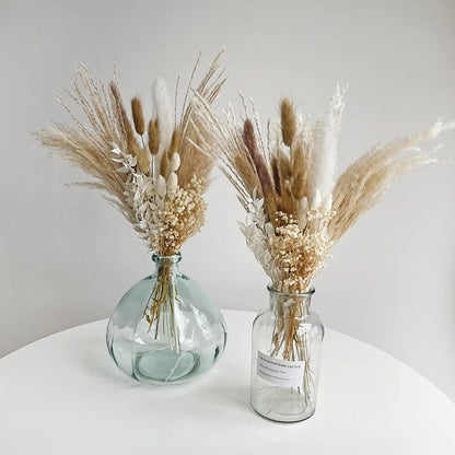 Pampas Grass Decoración - Tendencia